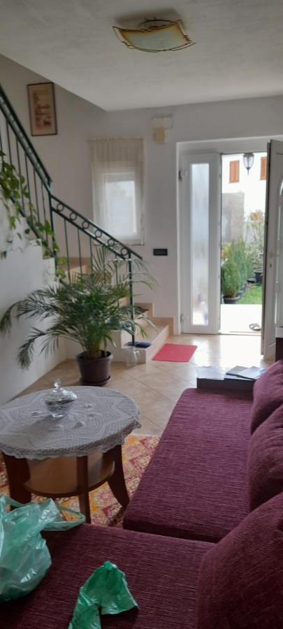Apartment Oaza *