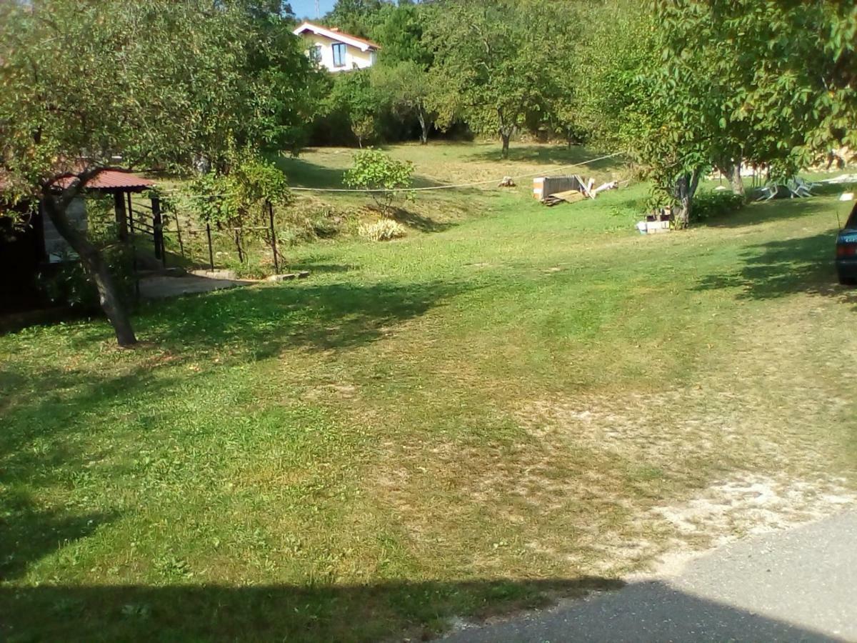 Apartmán Oaza *