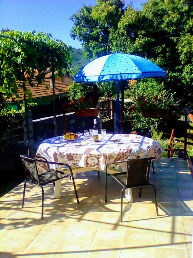 Oaza Apartament *